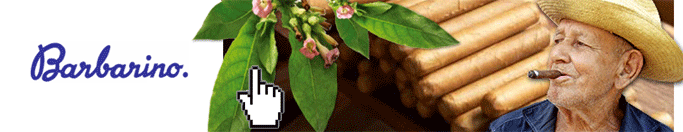Barbarino Logo